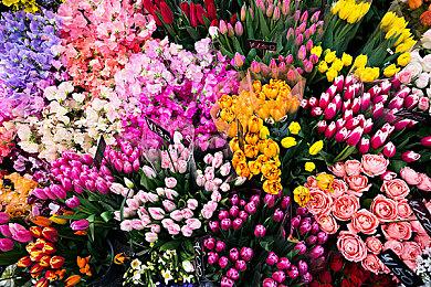 玩家对《赛博朋克2077》免费DLC不太满意 CDPR诉苦