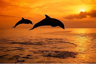 《终结者：反抗军》DLC IGN 5分 战斗加强但缺乏新鲜感