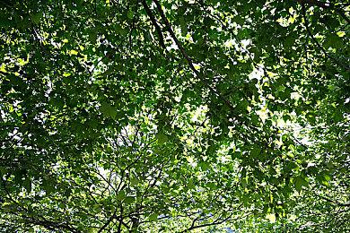 科技动作第一人称射击游戏《RetroBlazer》Steam页面开放 不支持中文