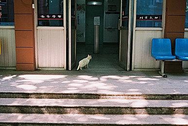 《鬼屋魔影》重制版幕后预告片聚焦怪物设计